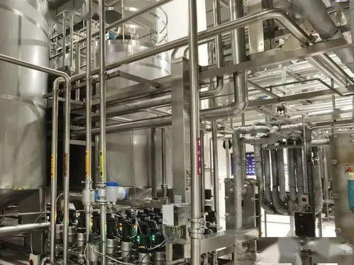 赋能数字中枢 光明华东中心工厂的智能数码转型之路